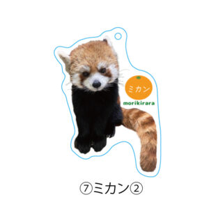 アクリルキーホルダー | 